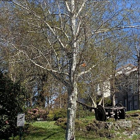 Campo De Estrellas Apartment Santiago de Compostela Ngoại thất bức ảnh