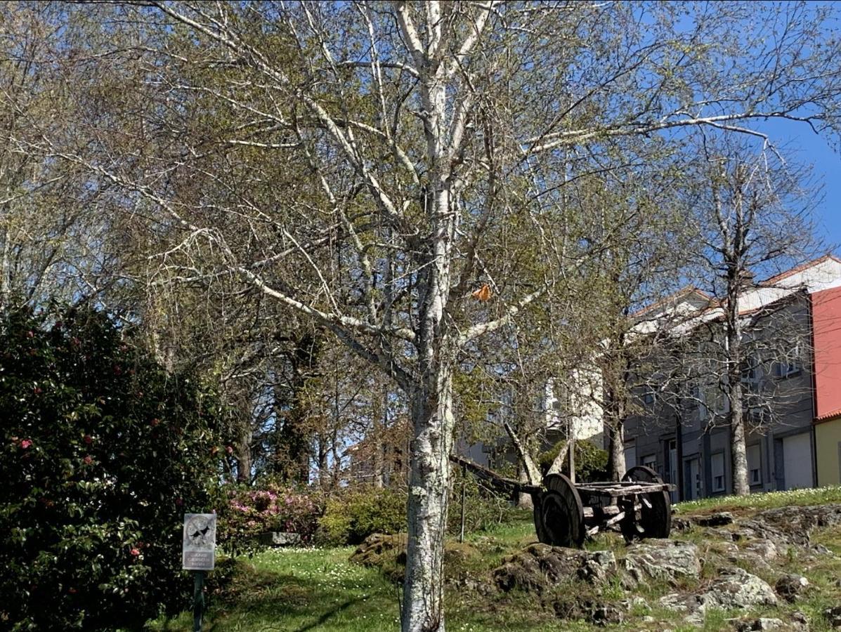 Campo De Estrellas Apartment Santiago de Compostela Ngoại thất bức ảnh